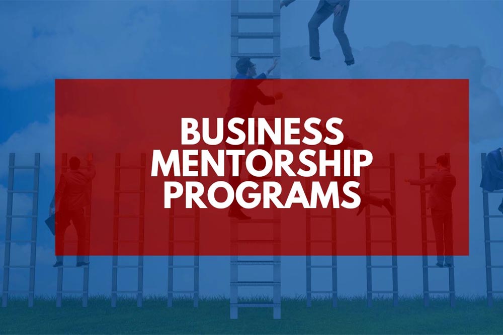 online startup mentorship programs